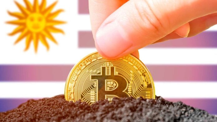 Moneda de bitcoin y bandera uruguaya de fondo.