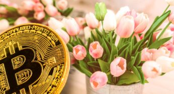 Conoce los tulipanes que crecen gracias al Bitcoin